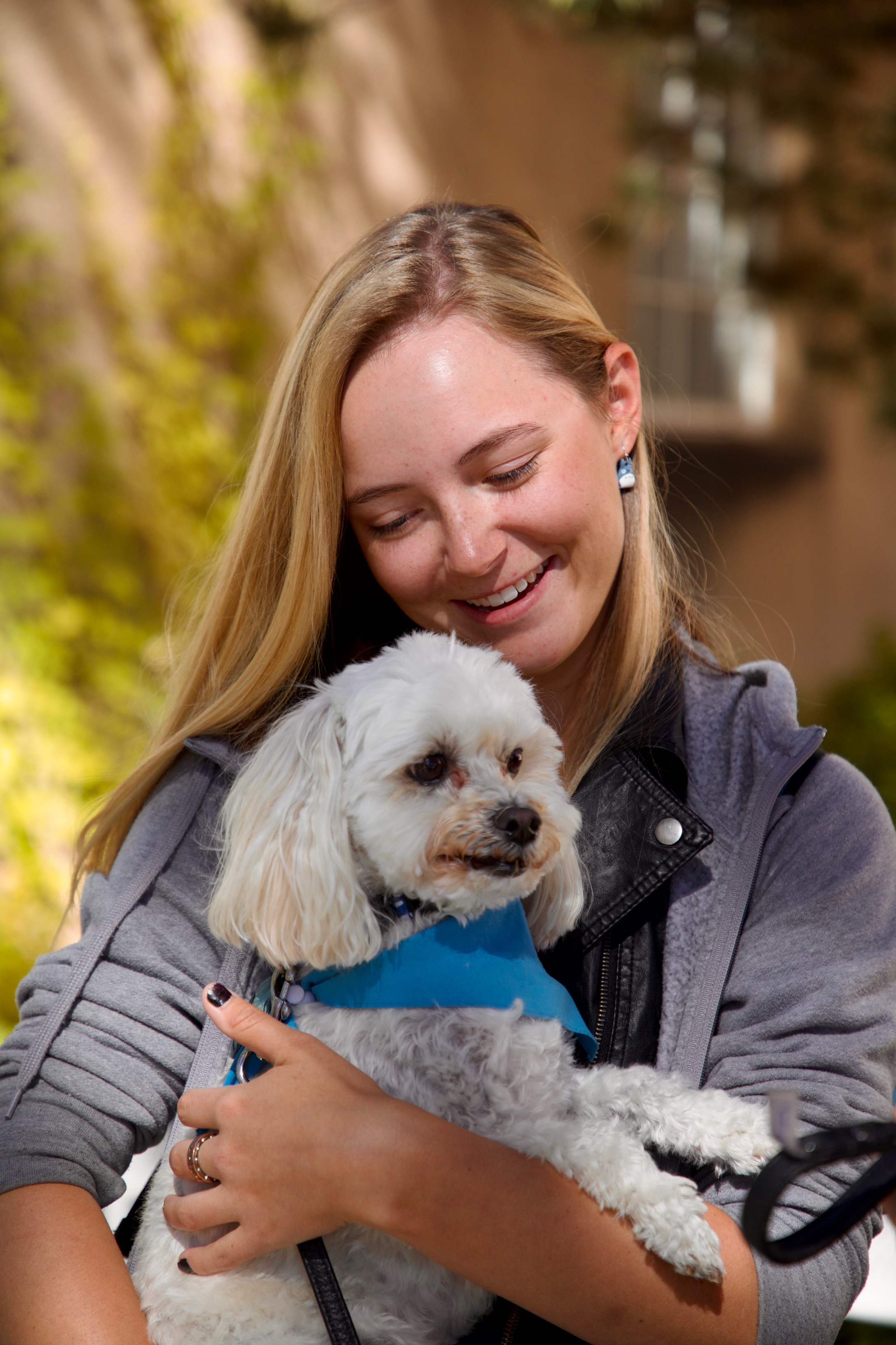 Cuddle a Canine- vertical