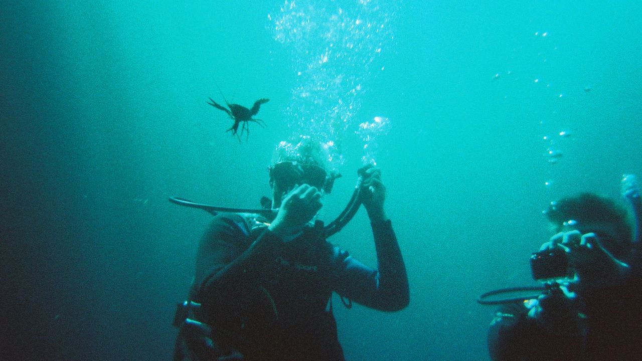 Scuba diving  with OAC at Blue Hole