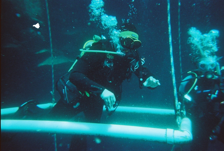 Scuba diving  with OAC at Blue Hole