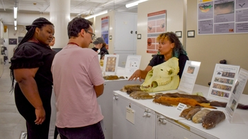 Museum of Southwestern Biology provides up close look at collections through 'Evolution Revealed'
