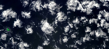 Satellite image of clumped clouds in the tropical Atlantic ocean. The clear areas between clouds tend to be very dry