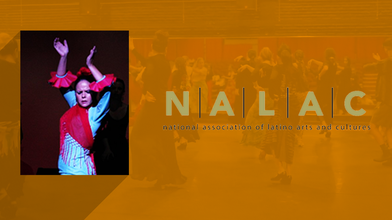 Flamenco professor and director named national fellow | UNM UCAM Newsroom