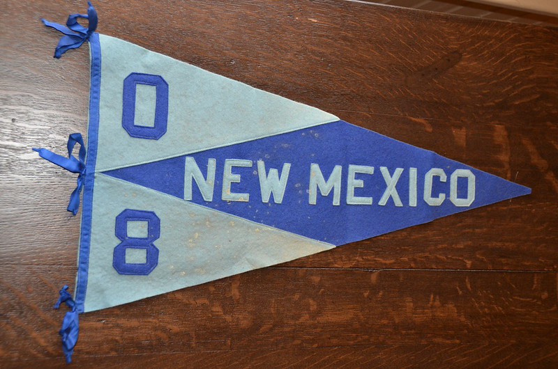 1908 school pennant
