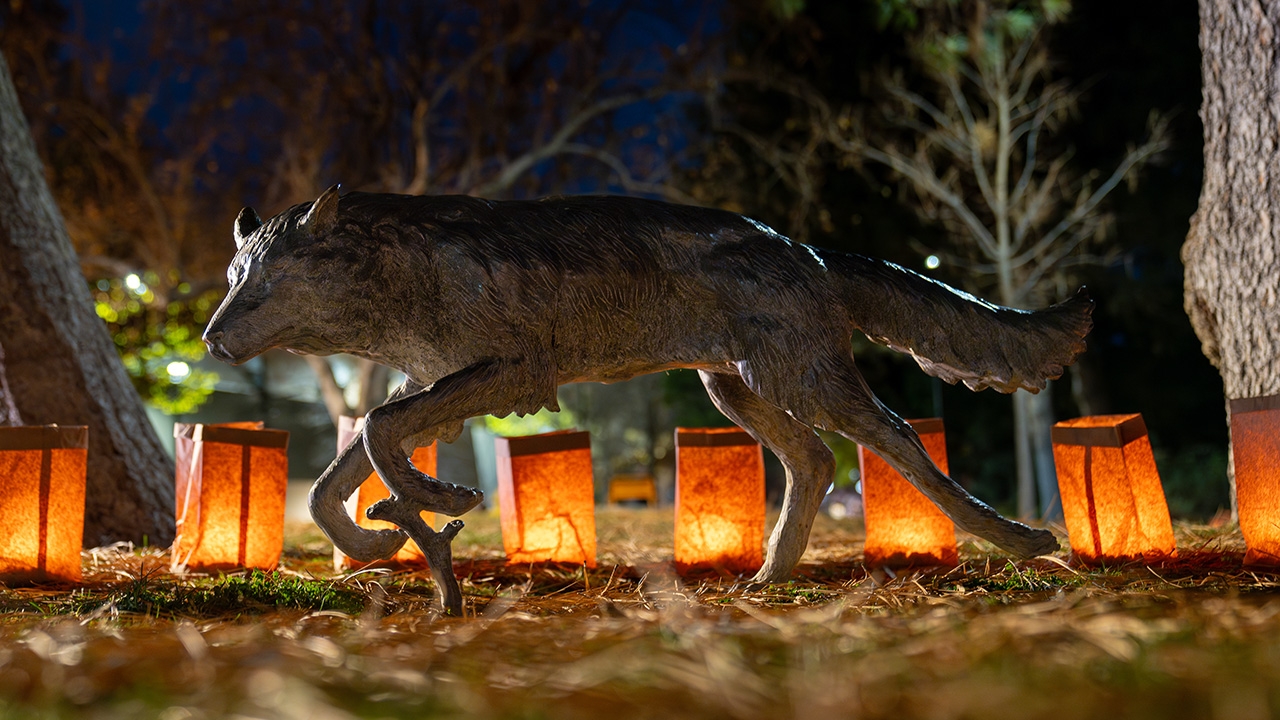 Luminarias highlight 