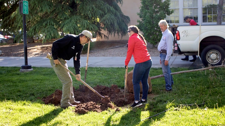 Campus Cleanup Day volunteers work