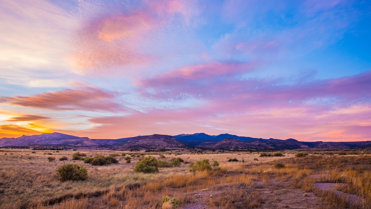 New Mexico Desert