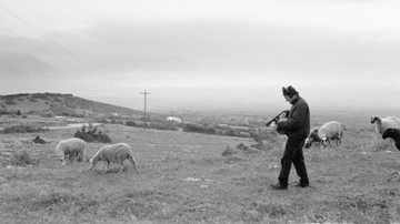 Feld in the field