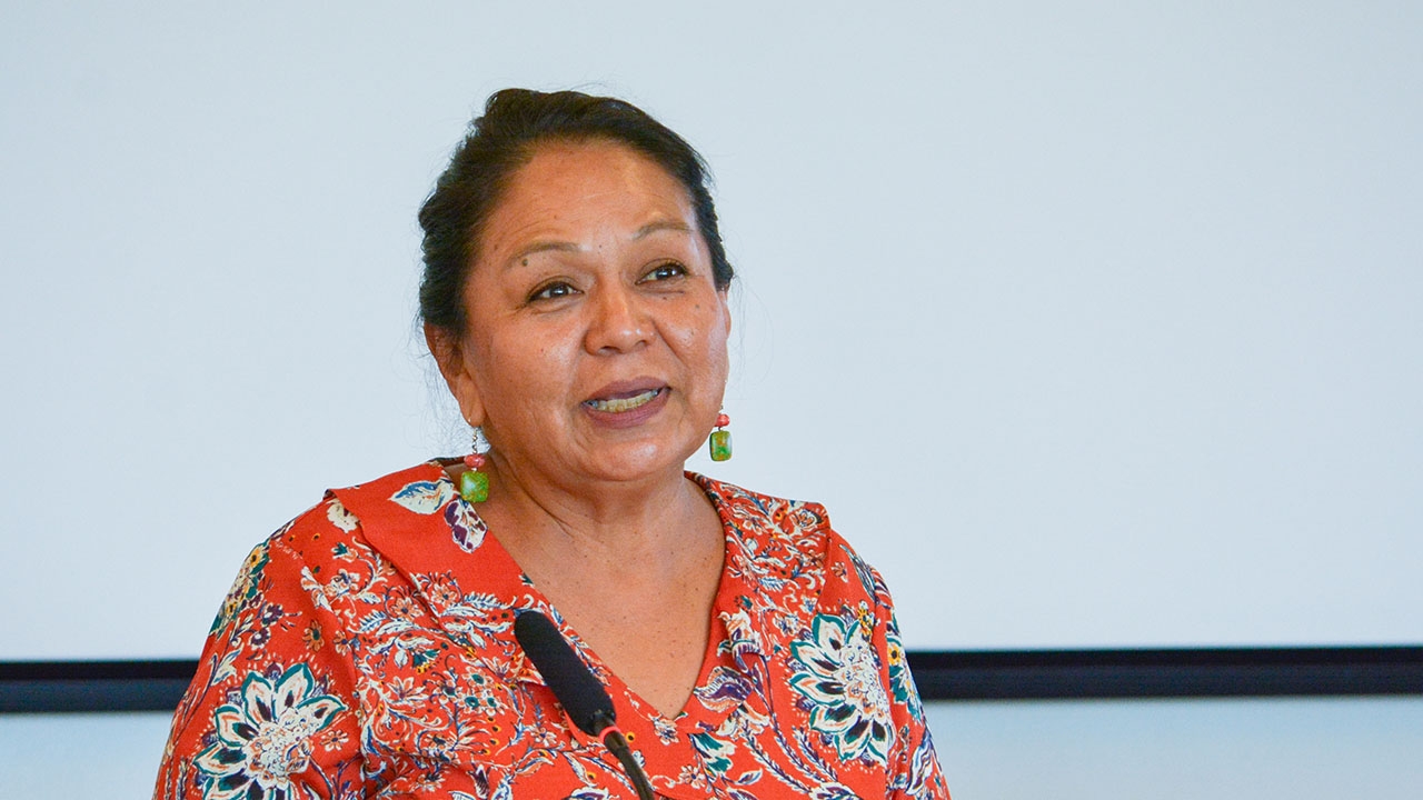 New Mexico state Rep. D. Wonda Johnson