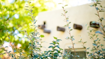 UNM Department of Geography and Environmental Studies grants its first Ph.D. 
