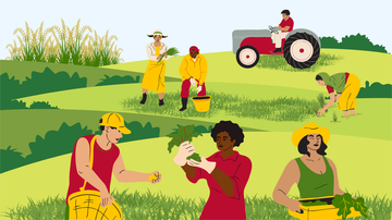 UNM to celebrate Farmworker Awareness Week with art and activities