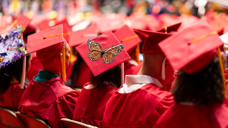 Decorated graduation caps