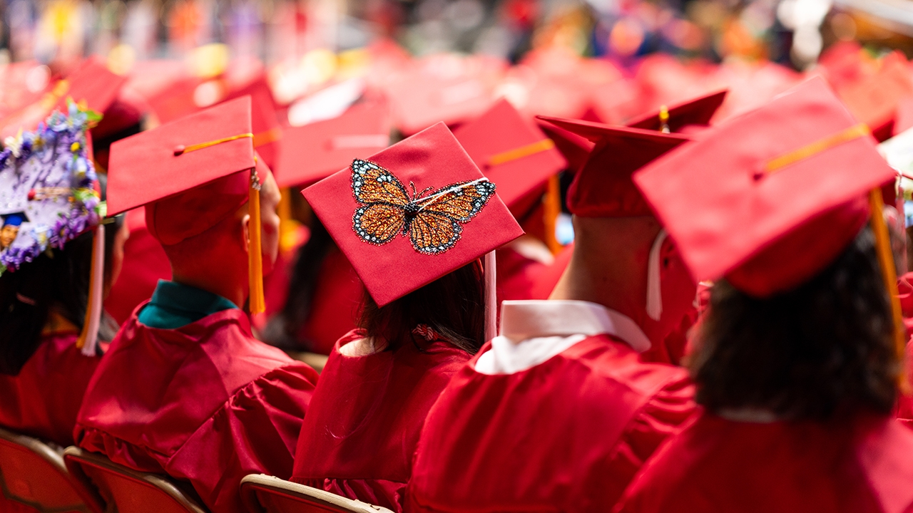Diverse paths, shared success: UNM's 2026 Inspiring Graduates