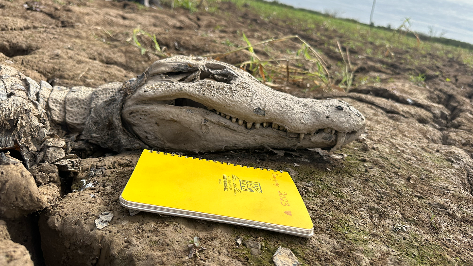 UNM Honors College professor leads 2025 expedition to Paraguay to study fossilization in real time