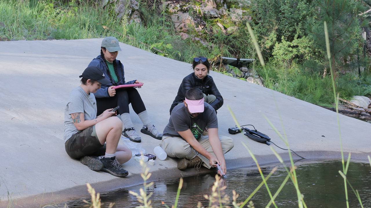 UNM’s ARID Institute receives $7 million grant to transform forest and watershed management