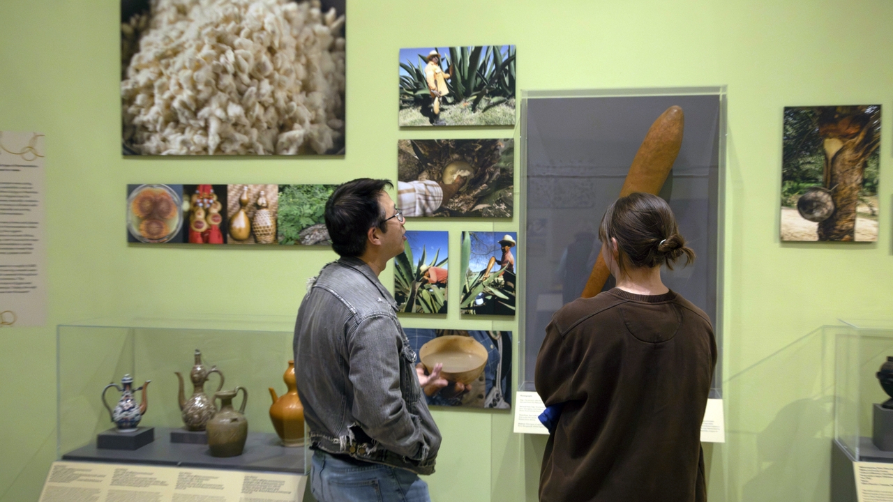 UNM Maxwell Museum hosts panel on fermentation and health