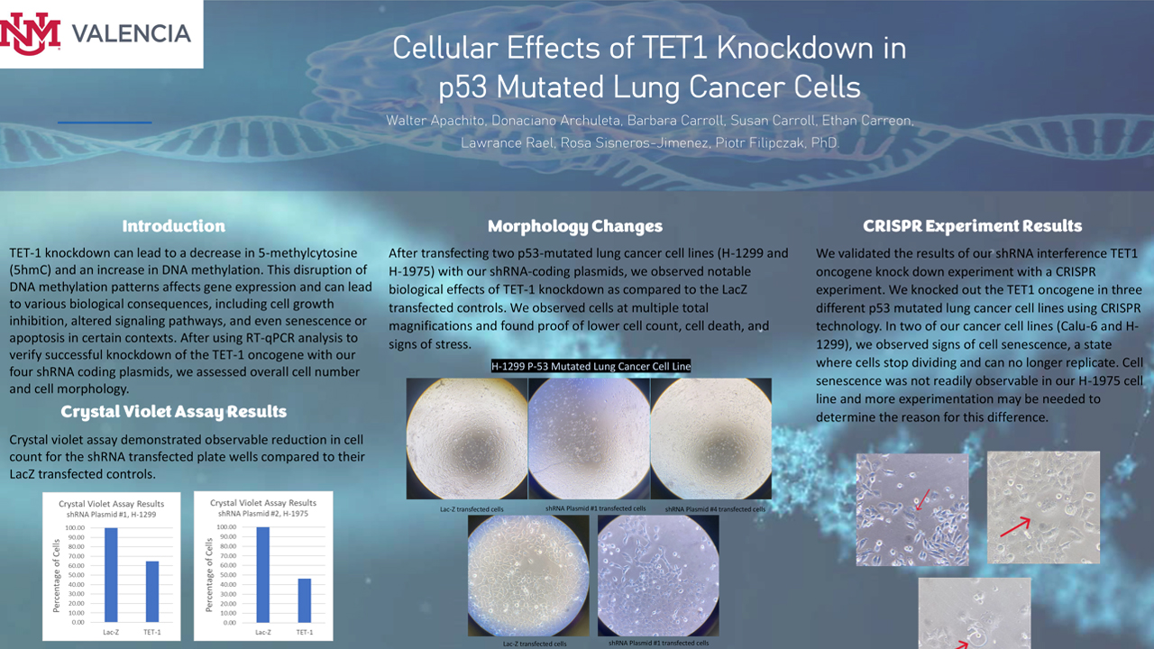 Valencia Campus home to only medical biotech program in the state