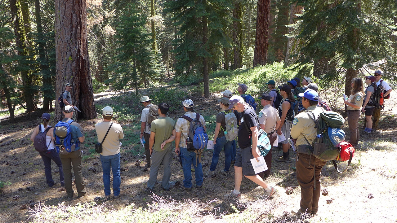 UNM center for fire resilience making a difference across New Mexico