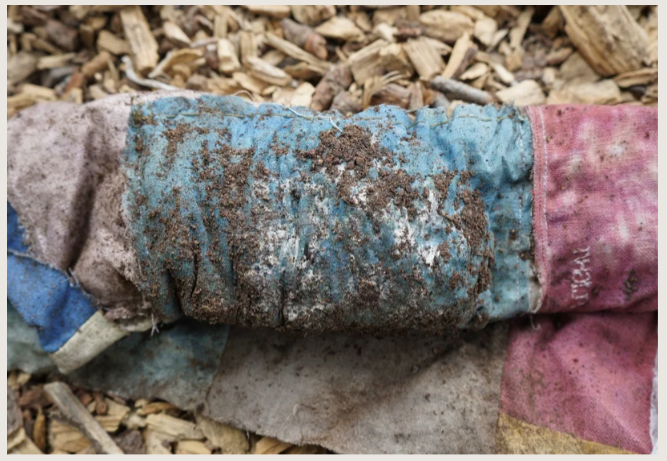 Bellow Forth materials