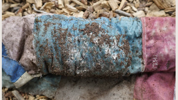 Bellow Forth materials