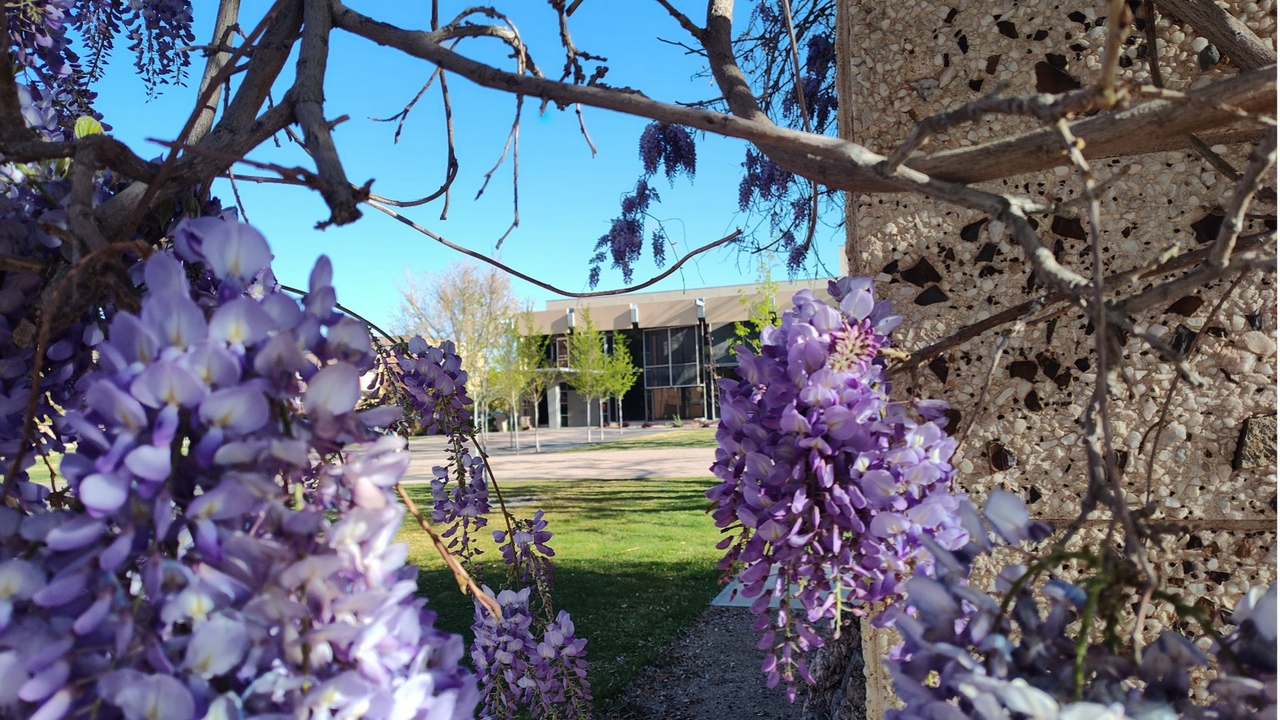UNM College of Education and Human Sciences to host inaugural 'State of the College' address