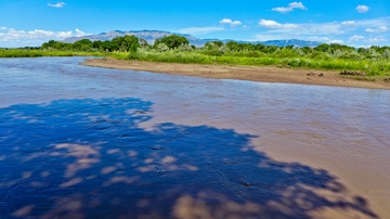 The middle Rio Grande in Albuquerque 