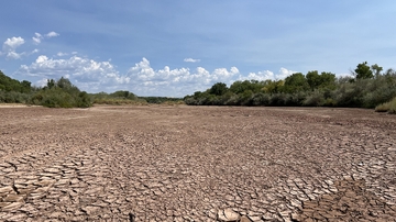 UNM researchers tackle drought impacts through national conservation grant 