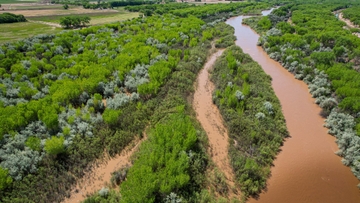 Flourishing habitat along 