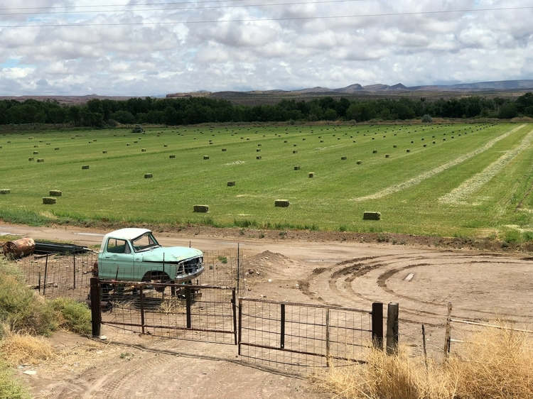 large_farm