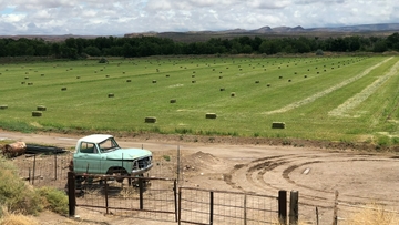 large_farm