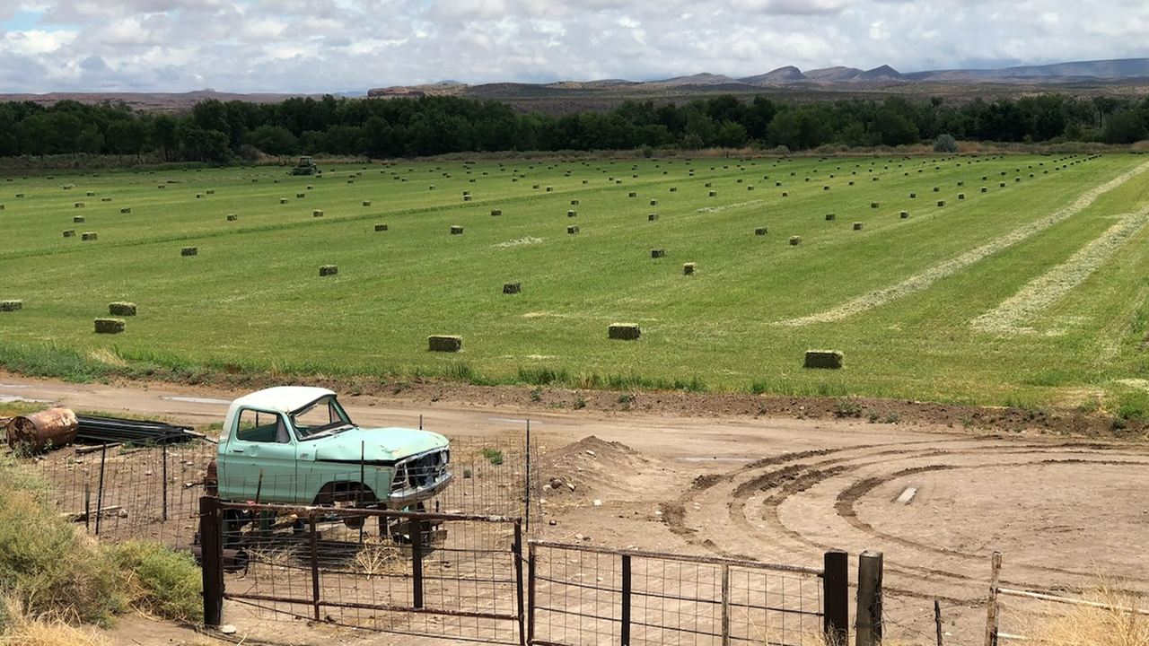 UNM researchers examine agricultural water use in New Mexico’s Middle Rio Grande Basin