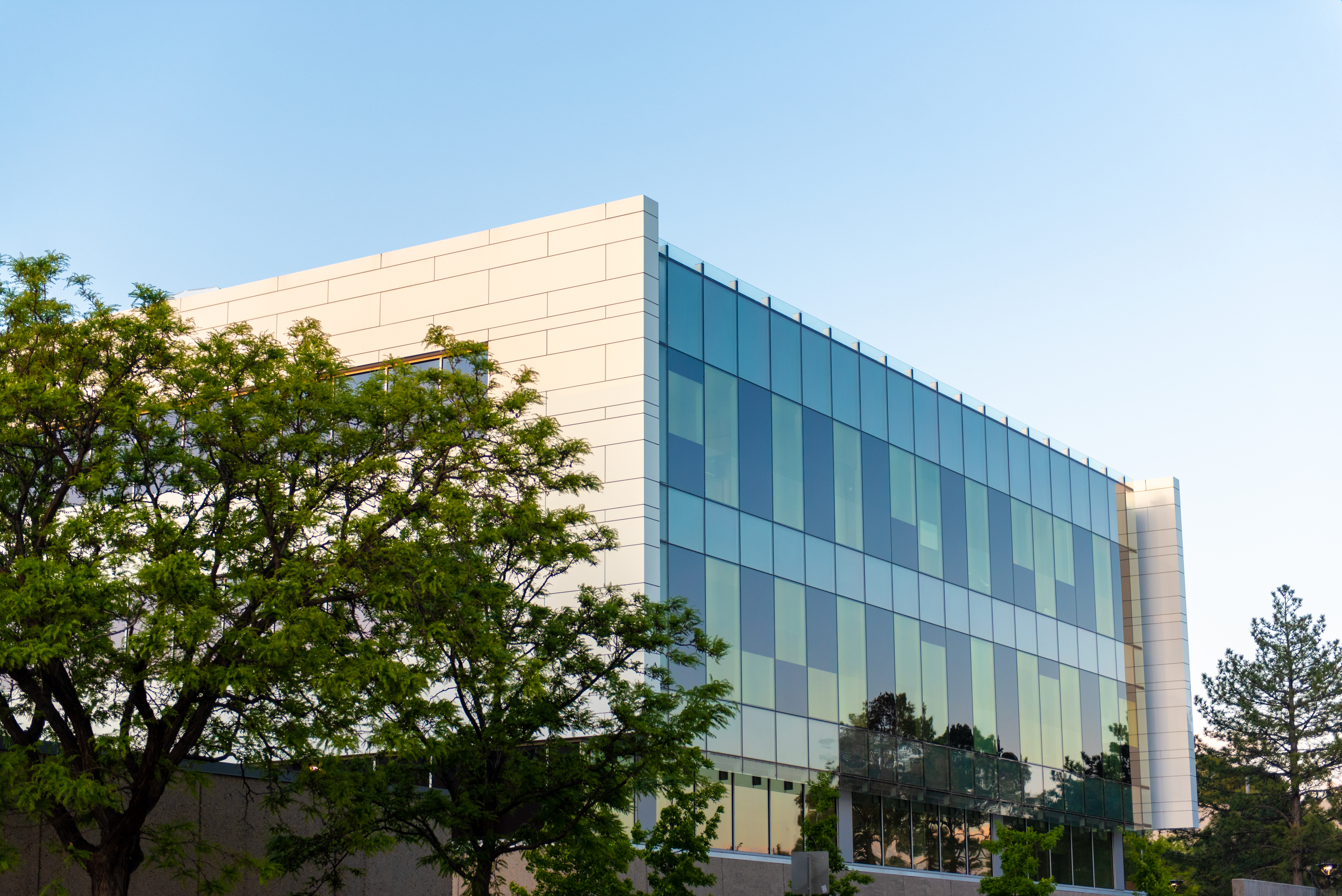 School of Engineering faculty awarded 5 NSF CAREERs