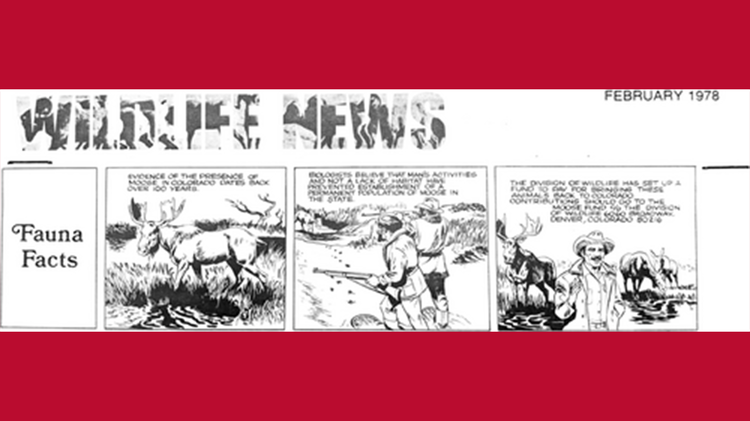 Moose cartoon thumbnail