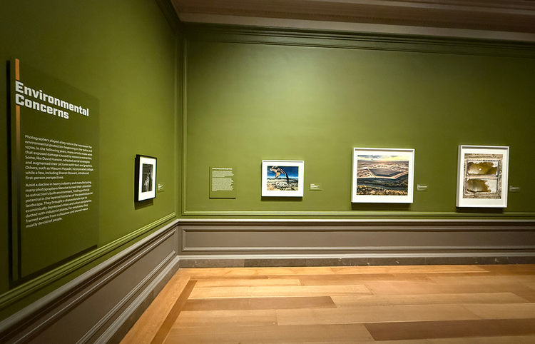 Environmental Concerns gallery of Beneath the Surface 
