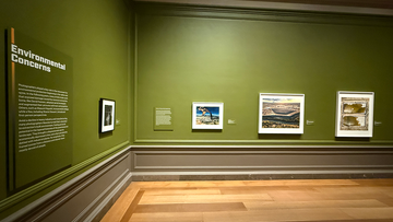 Environmental Concerns gallery of Beneath the Surface 