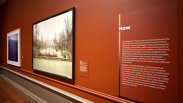 Now gallery of Beneath the Surface. 