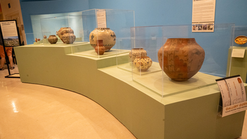 Pottery cases on display