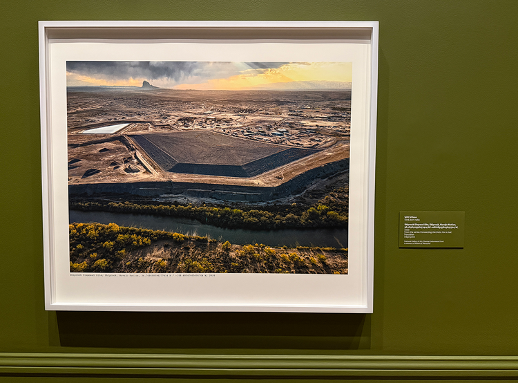 Installation view of Wil Wilson's work 