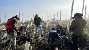 NMRC crew monitors seedlings after planting