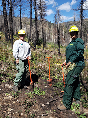 Researchers on site