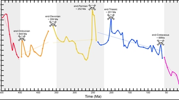 Fig5_final