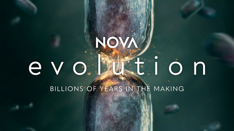 NOVA Evolution