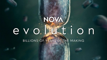 Special NOVA: Evolution screening features UNM professors