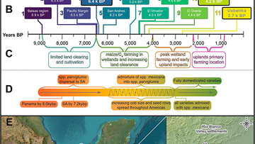 The sequence of maize farming in the northern neotropics
