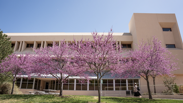 UNM Engineering Ph.D. student wins LANL Best Student Award