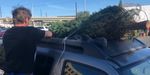 AAA Texas: How to Safely Transport Your Christmas Tree