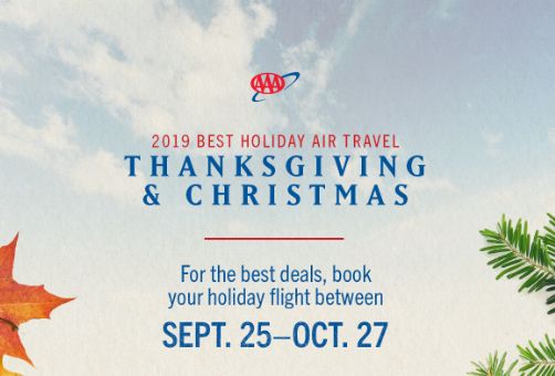2019 Holiday Air Travel
