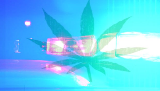 Emergency Lights and Marijuana