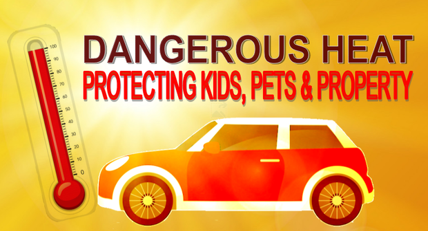 Protecting Kids and Pets Hot Cars GFX