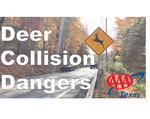 AAA Texas Reminds Drivers About the Dangers of Deer Collisions During Fall