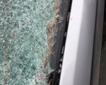 Deer Hair on Windshield After Collision